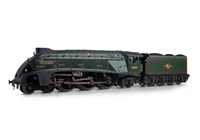 A picture of 60019 Added details include: moulded coal replaced with real coal, loco crew added, detailed buffer beam at one end and and etched depot plates.