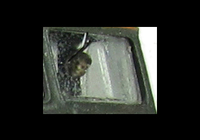 A picture of Close up of driver fitted in cab.